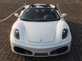 Ferrari F430 Spider Blanco - thumbnail 14