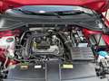 Volkswagen T-Roc 1,0 TSI Klima Fenster el. Rot - thumbnail 11