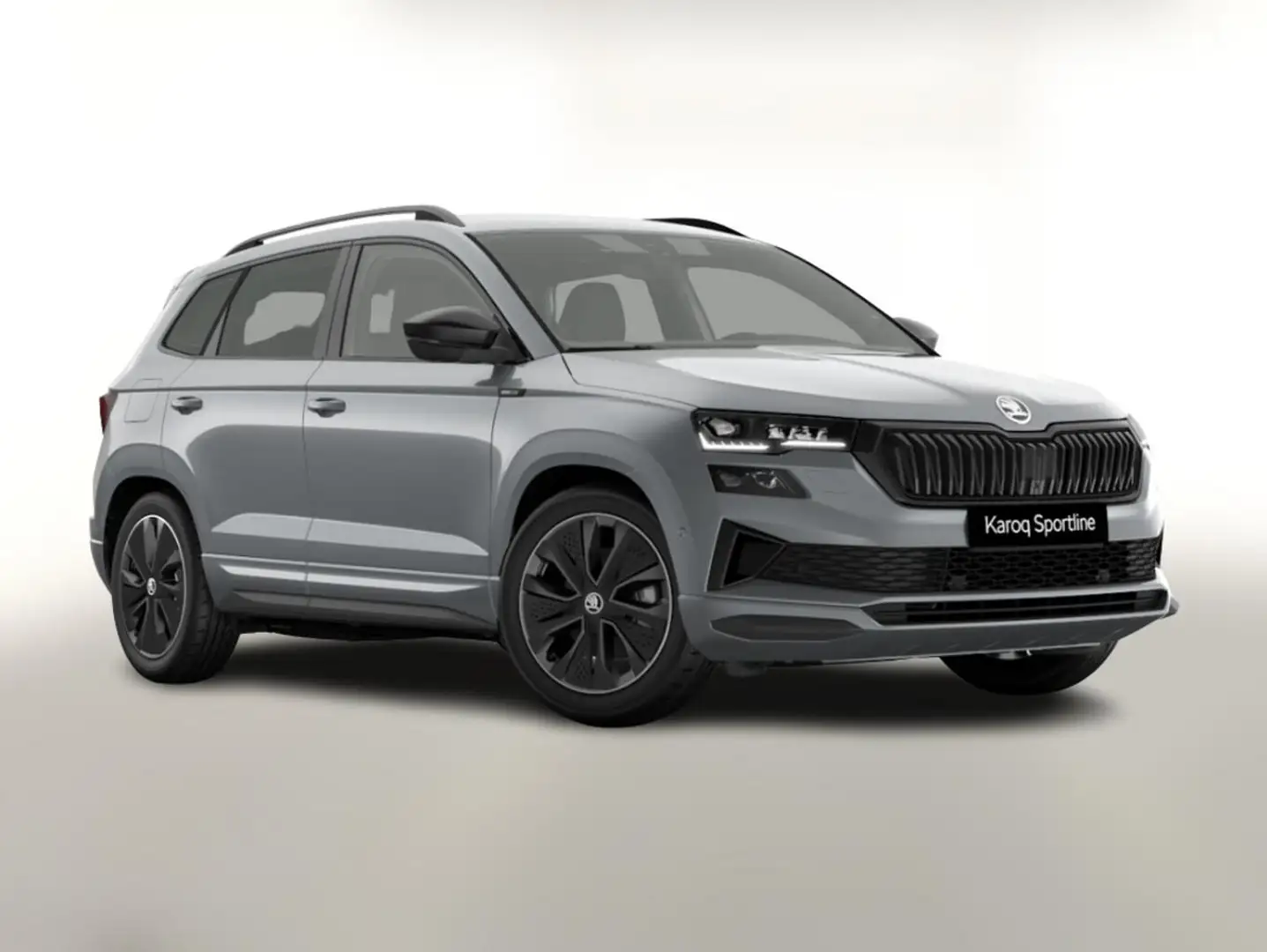 Skoda Karoq Sportline DSG Sportl Matrix Nav 360 Canton ACC ... Silber - 1