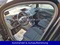 Ford Grand C-Max Grand C-MAX 1.6 Trend *7-SITZER*RAUMWUNDER*TOP* Schwarz - thumbnail 11