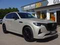 Mazda CX-60 3,3D 254 Homura AWD ACC HUD BLIS 360° Grigio - thumbnail 9