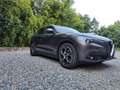 Alfa Romeo Stelvio Stelvio 2020 2.2 t  Q4 190cv auto - thumbnail 8