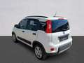 Fiat Panda Panda III 2021 1.0 firefly hybrid City Life s Bianco - thumbnail 7