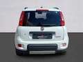 Fiat Panda Panda III 2021 1.0 firefly hybrid City Life s Bianco - thumbnail 6