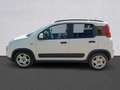 Fiat Panda Panda III 2021 1.0 firefly hybrid City Life s Bianco - thumbnail 8