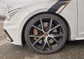 SEAT Leon II Cupra 2.0 TSI 16V DSG7 290 cv Weiß - thumbnail 29