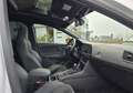 SEAT Leon II Cupra 2.0 TSI 16V DSG7 290 cv Weiß - thumbnail 13