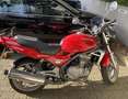 Kawasaki ER - 5 Twister Rot - thumbnail 3