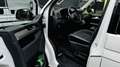 Volkswagen T6 Multivan Multivan Edition Weiß - thumbnail 5