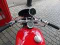 Gilera Saturno Saturno 500 Corsa Rot - thumbnail 6
