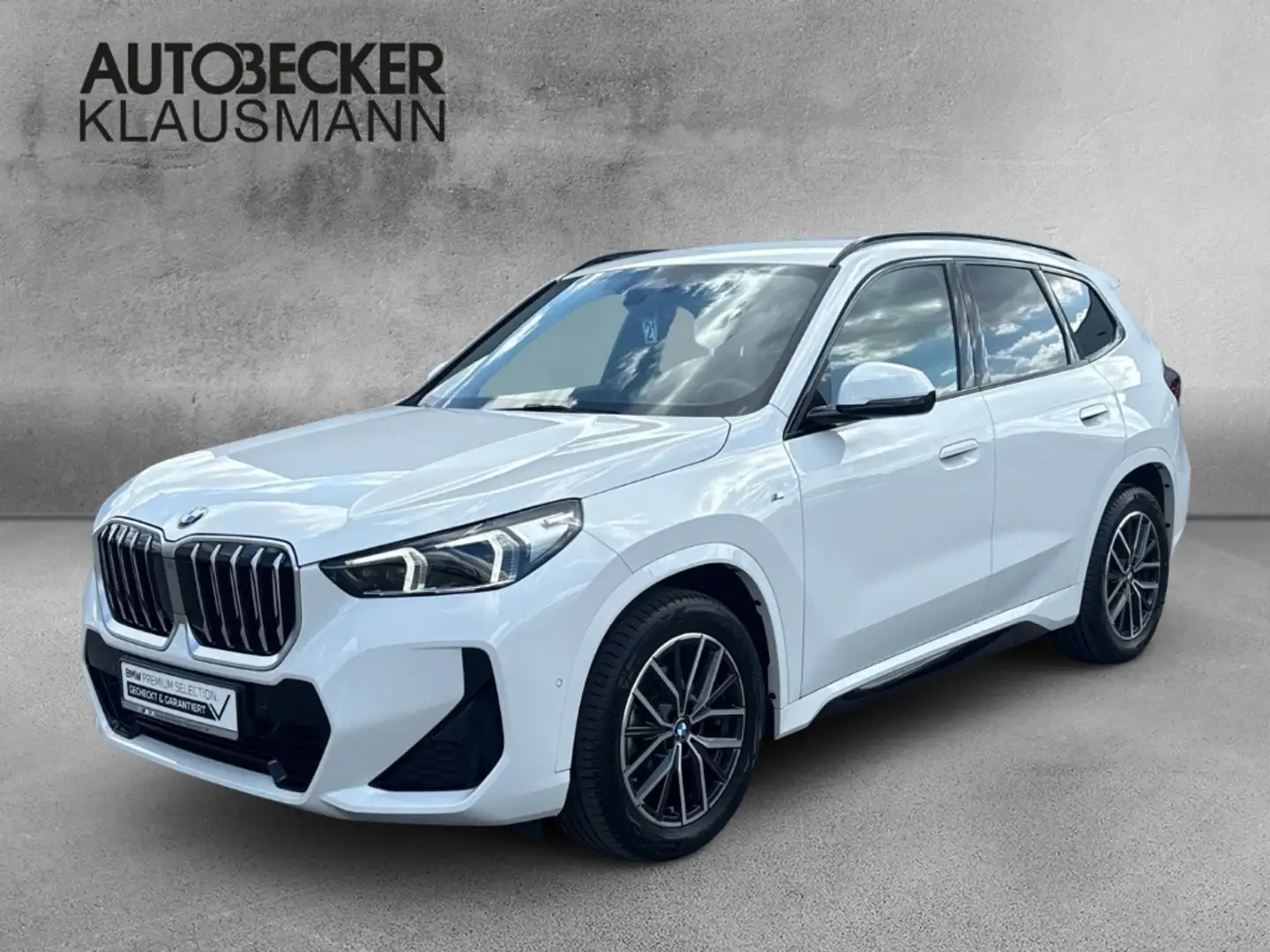 BMW X1 xDRIVE 20d M SPORT AUTOMATIK 18''NAVI LED PDC KAME Weiß - 1
