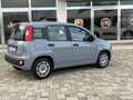 Fiat Panda Panda III 2021 1.0 firefly hybrid s Gris - thumbnail 3