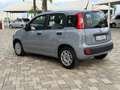 Fiat Panda Panda III 2021 1.0 firefly hybrid s Gris - thumbnail 4