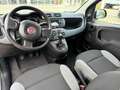 Fiat Panda Panda III 2021 1.0 firefly hybrid s Gris - thumbnail 5