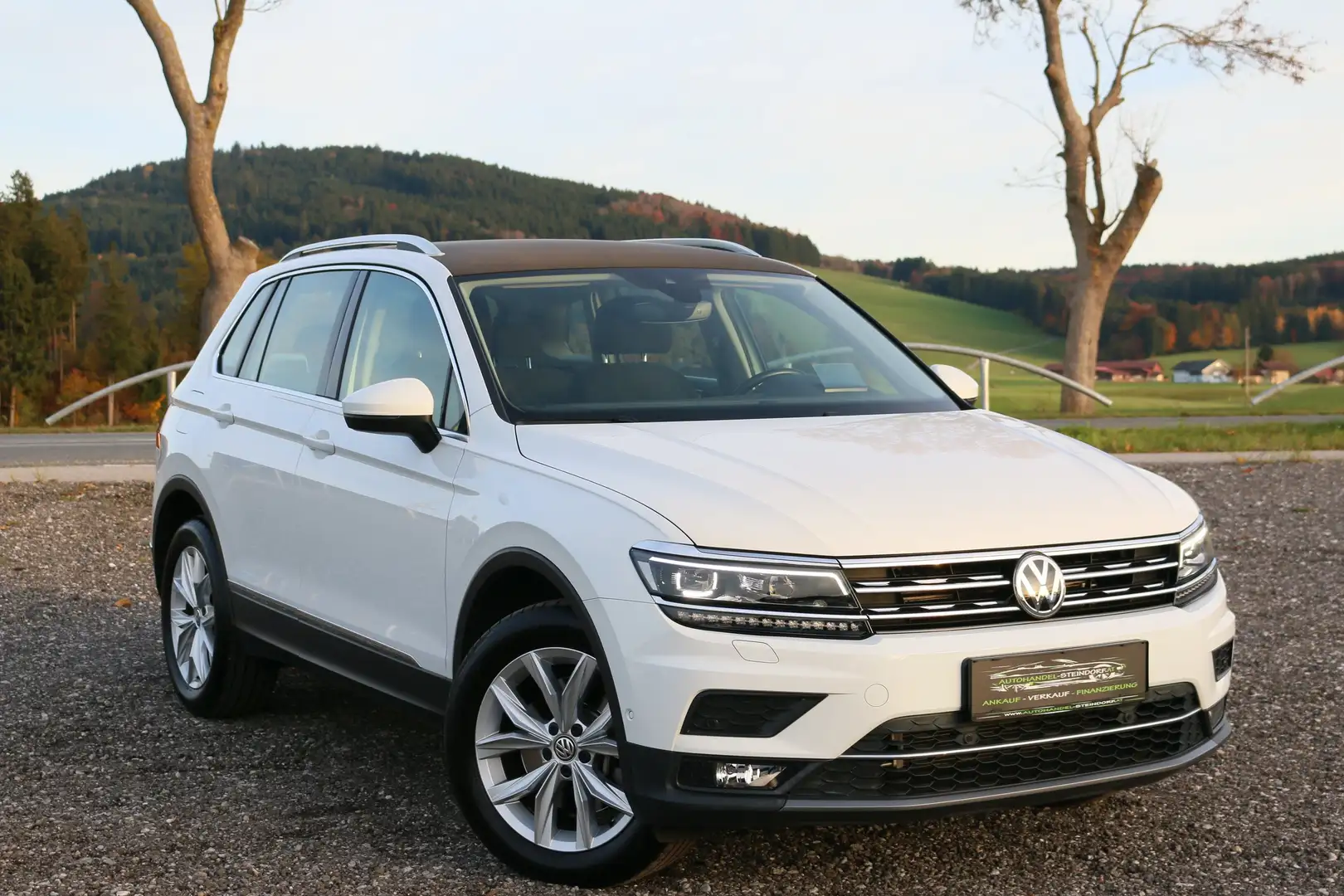 Volkswagen Tiguan DSG*4Motion*AHK*Standheizung*Matrix LED*Kamera Weiß - 1
