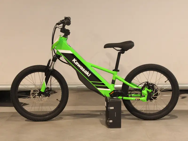 Kawasaki ELEKTRODE 20 - foto 2