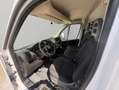 Fiat Ducato L2 H2 140 cv Blanco - thumbnail 11