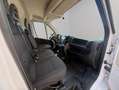 Fiat Ducato L2 H2 140 cv Blanco - thumbnail 10