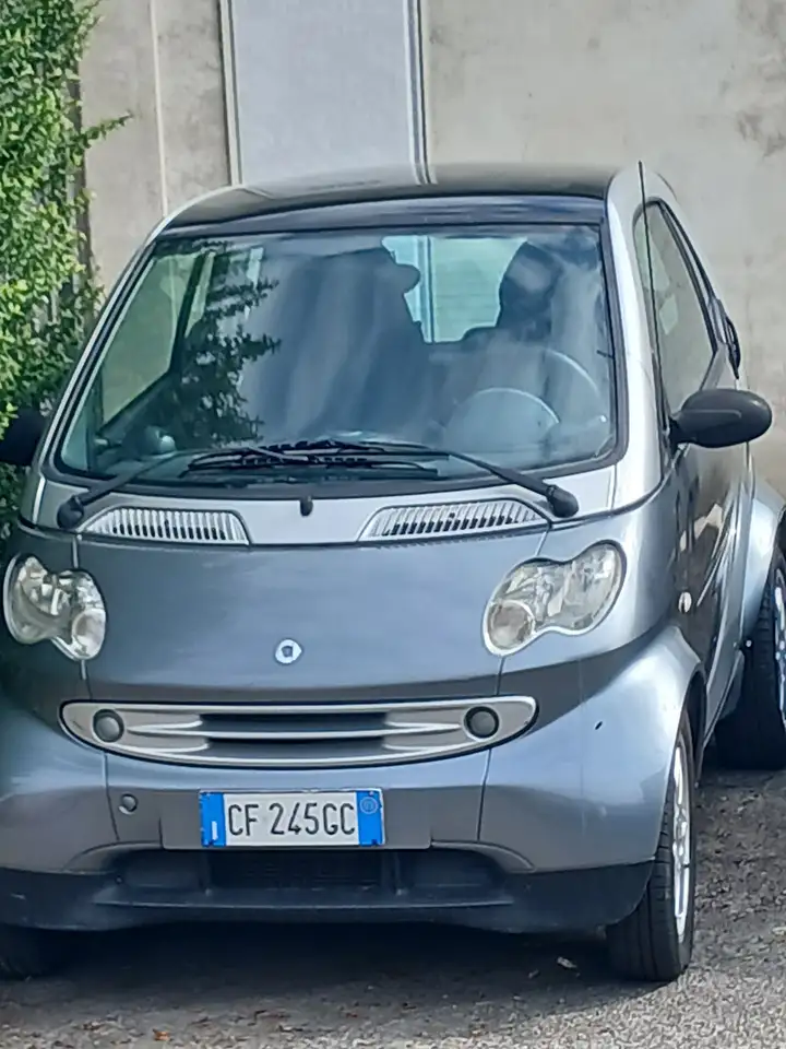 smart Others 2023
