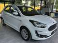 Ford Ka/Ka+ *Klima*bis zu 48 Monate MPR-Garantie Weiß - thumbnail 7