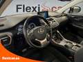Lexus NX 300h 2.5 Business 2WD - thumbnail 15