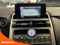 Lexus NX 300h 2.5 Business 2WD - thumbnail 12