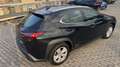 Lexus UX 250h hybrid Executive ibrida Nero - thumbnail 4