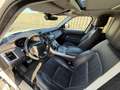 Land Rover Range Rover SPORT 2.0 P400e 404ch HSE Dynamic Mark VII Weiß - thumbnail 6
