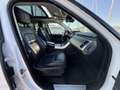 Land Rover Range Rover SPORT 2.0 P400e 404ch HSE Dynamic Mark VII Weiß - thumbnail 8