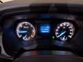 Ford Ranger 2.2 TDCi 118kW 4x4 Doble Cab. XL S/S Bianco - thumbnail 15