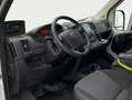 Fiat Ducato-e L2H2 (47-kWh) **Kamera/Navi** Blanc - thumbnail 8