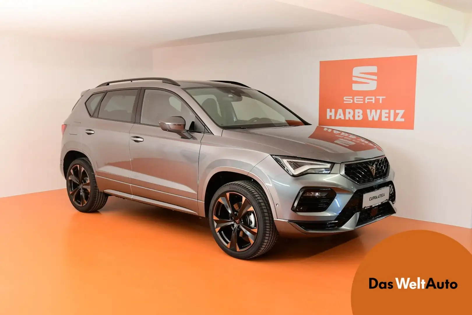 CUPRA Ateca 2.0 TSI DSG 4Drive 190 Grau - 1
