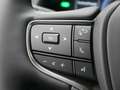 Lexus UX 250h Style Edition 1.4kWh Aut. LED,Navi,SHZ Grau - thumbnail 19