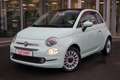 Fiat 500 1.2 Lounge Klimaaut. Tempomat Panorama Grün - thumbnail 2