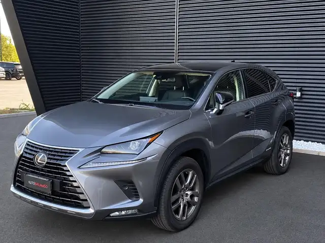Lexus NX 300 300 Hybrid Premium 4WD 197 CV