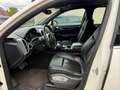 Porsche Cayenne S Hybrid Schiebedach*TOP*TUV NEU* Weiß - thumbnail 13