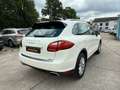 Porsche Cayenne S Hybrid Schiebedach*TOP*TUV NEU* Weiß - thumbnail 7