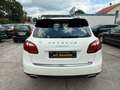 Porsche Cayenne S Hybrid Schiebedach*TOP*TUV NEU* Weiß - thumbnail 6