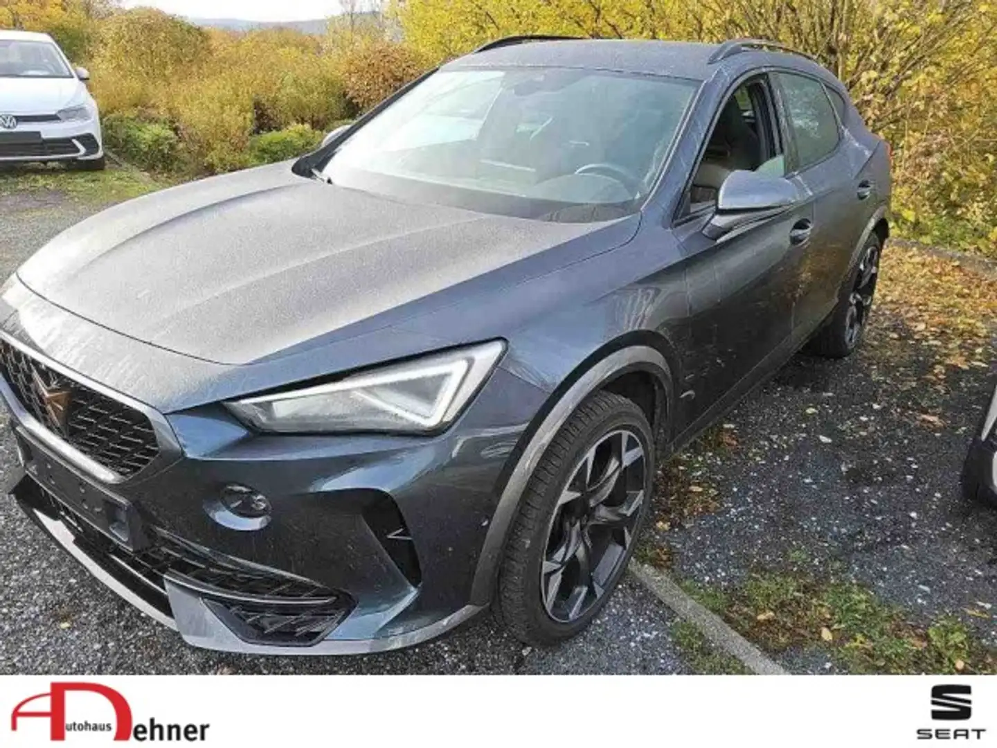 CUPRA Formentor VZ 2.0 TSI DSG Klima Navi Rückfahrkamera Grau - 1