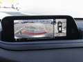 Mazda CX-30 2.0 M-Hybrid Selection NAVI SHZ 360° BT Grey - thumbnail 17