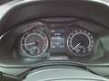 Skoda Scala 1.0 TSI Cool Plus Bleu - thumbnail 10