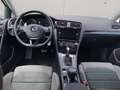 Volkswagen Golf VII 1.5 TSI Highline *KAMERA STDHZ LHZ* Weiß - thumbnail 12