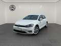 Volkswagen Golf VII 1.5 TSI Highline *KAMERA STDHZ LHZ* Weiß - thumbnail 2