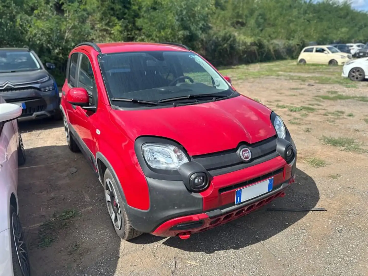 Fiat Panda 1.0 FireFly S&S Hybrid Rot - 2