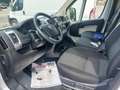 Fiat Ducato 33 2.3 MJT 130CV PLM-TA Furgone vedi lista su note Bianco - thumbnail 6