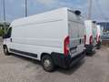 Fiat Ducato 33 2.3 MJT 130CV PLM-TA Furgone vedi lista su note Bianco - thumbnail 4