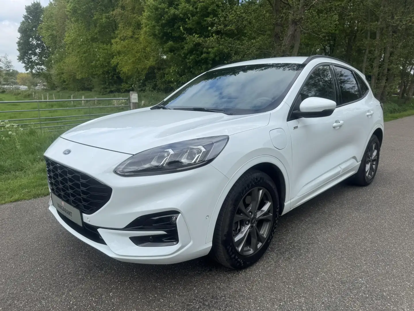 Ford Kuga 2.5 PHEV ST-Line Wit - 2