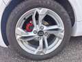 Ligier JS 50 Sport Carbon +Tablet Progress 2-Zylinder *Autof... Weiß - thumbnail 17