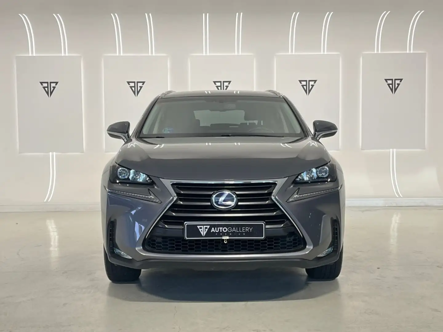 Lexus NX 300 300h Business Navigation 2WD Gris - 2