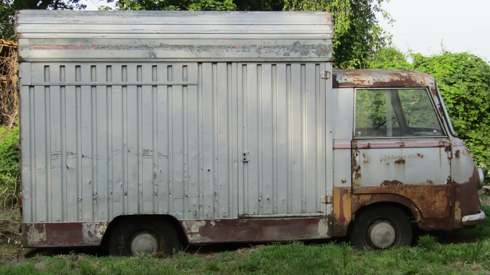 Fiat 242 MODELLO FIAT PASINO Srebrny - 1